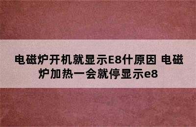 电磁炉开机就显示E8什原因 电磁炉加热一会就停显示e8